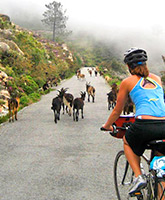 Pyrenees and Costa Brava biking photo